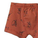 Organic Boxer Shorts - Bluegrass Bears Coco Print