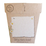 Sow n Sow Chamomile Gift of Seeds