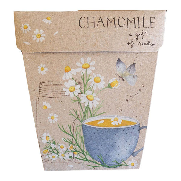 Sow n Sow Chamomile Gift of Seeds