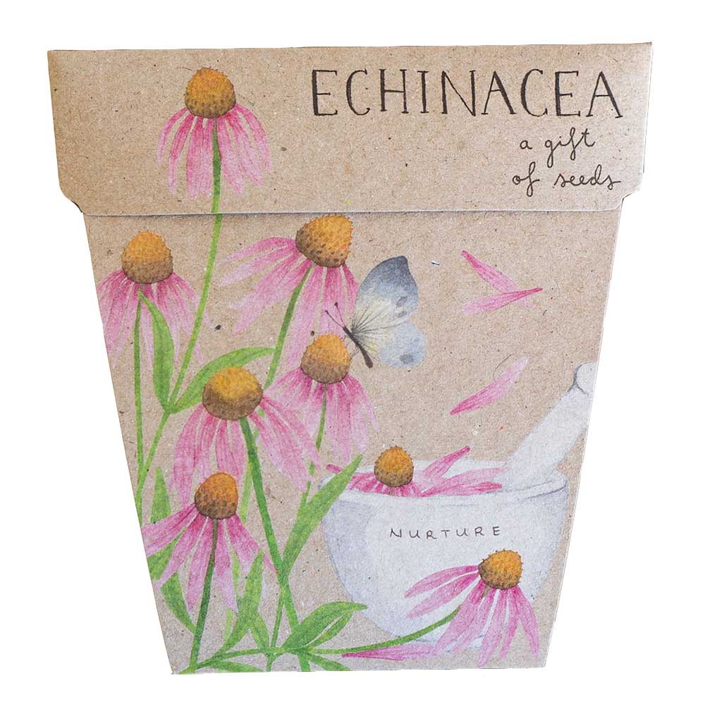 sow echinacea seeds Sow n Sow Echinacea Gift of Seeds – Slow Threads