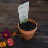 Wildflowers - Gift of Seeds